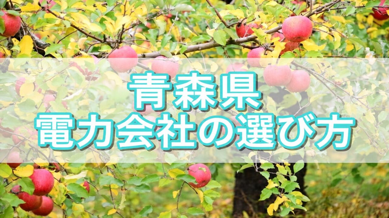 青森県 電力会社の選び方